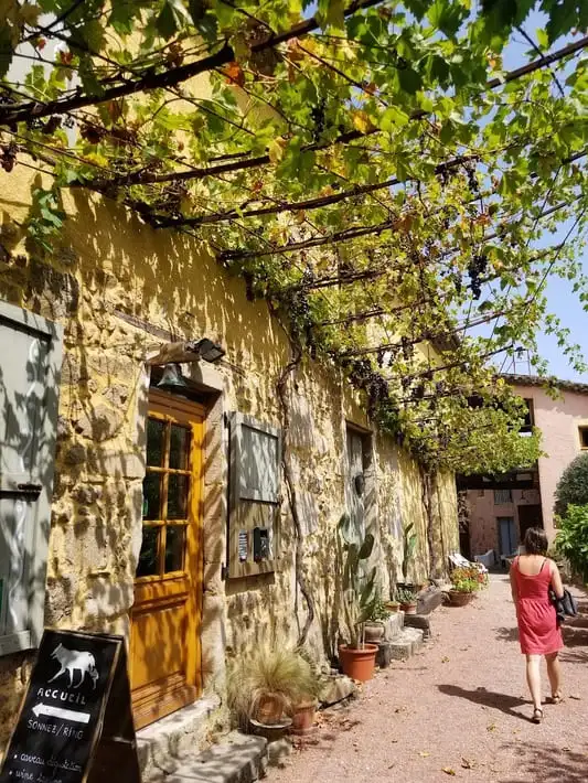 Domaine de Corps de Loup - Découvrez nos visites - Côte-rôtie et Condrieu